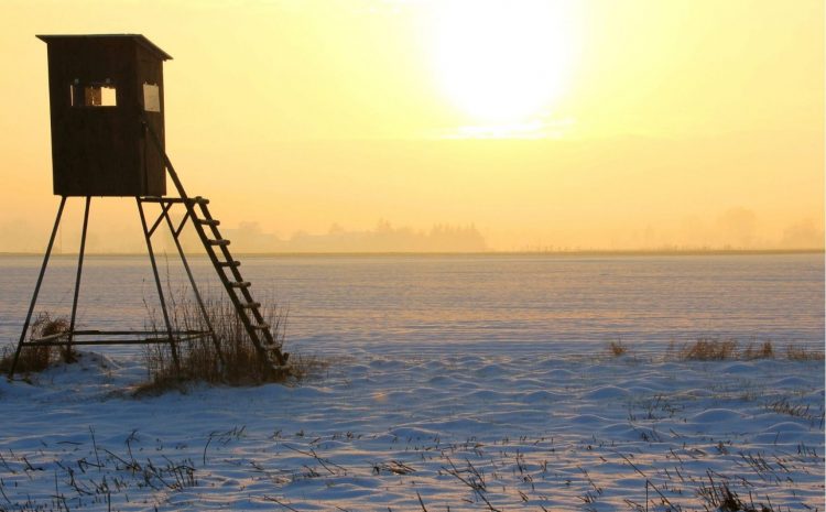 DZIERŻAWA OBWODÓW ŁOWIECKICH